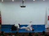 Bujutsu & Aikido Gösterisi