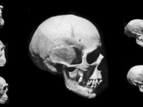 L'évolution de l'Australopithèque à l'Homo sapiens en 2 minutes - Micro to Macro in 2 Minutes (Class Appropriate)