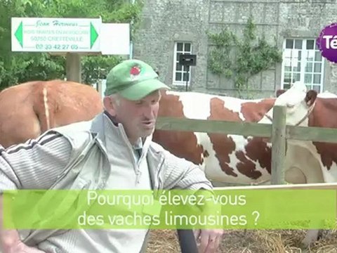 7 octobre 2012 - Vaches en fête : l'occasion de découvrir les races de vaches