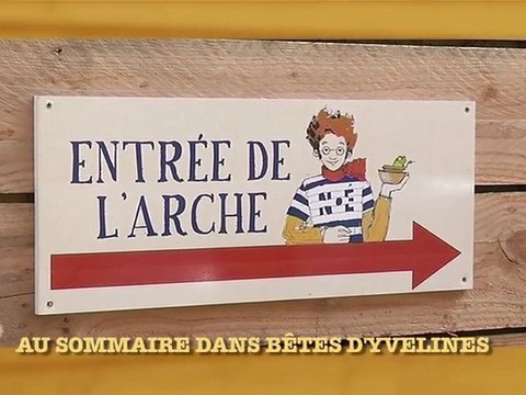 Bêtes d'Yvelines sur l'arche des petites bêtes de Thoiry
