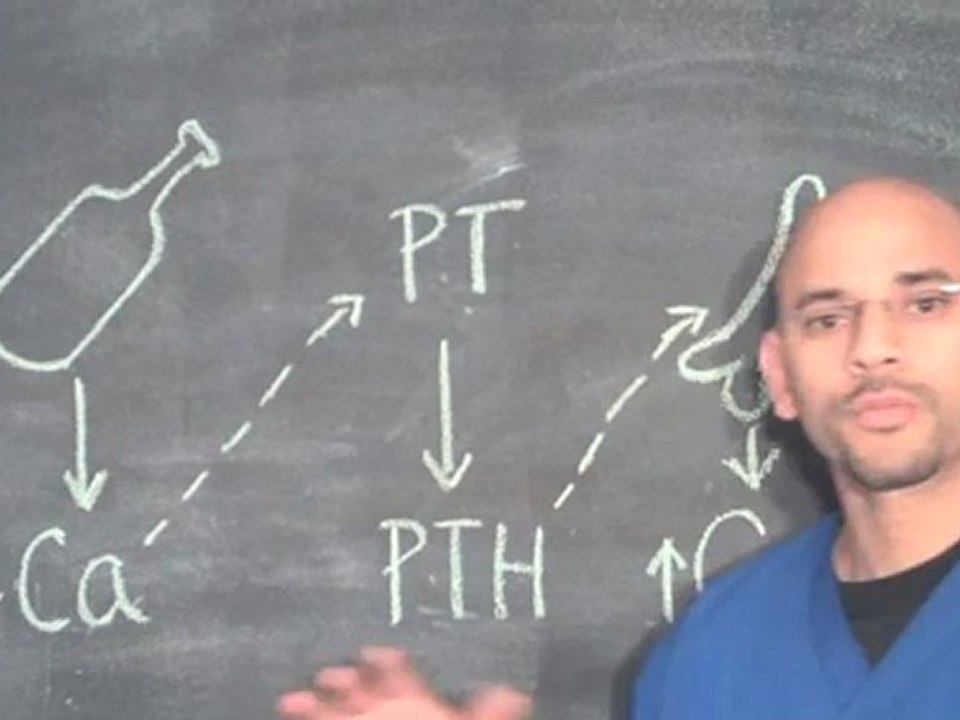 Atlanta Chiropractor - Alcohol Abuse and Osteoporosis in the Spine - Car Accident Doctor Atlanta - Personal Injury Doctor Atlanta - Car Accident Doctor Gainesville GA - Personal Injury Doctor Gainesville GA - Chiropractor Gainesville GA