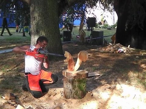 Salonvert 2012 - (3) Stihl et Husqvarna