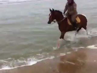 Premier bain de Mer pour Titi