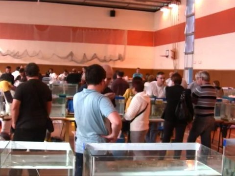 Congrès AFC Nancy 2012