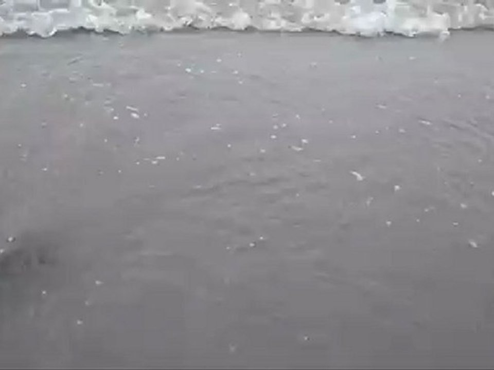 Blue Jeans - Katie Blue (Lana Del Rey cover)