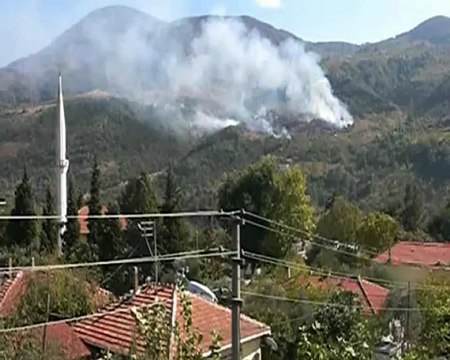 GEYVE Epçeler köyü orman yangını