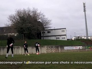 appui deviation haute ELANA Steeve