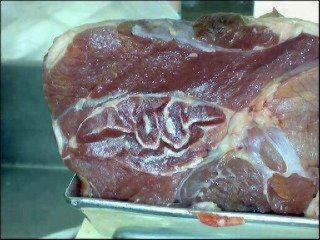 LE SAINT CORAN DANS CORAN BIBLE