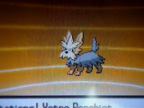 Evolution Ponchiot Chromatique en Ponchien Chromatique-Evolved Shiny Lillipup into Shiny Herdier