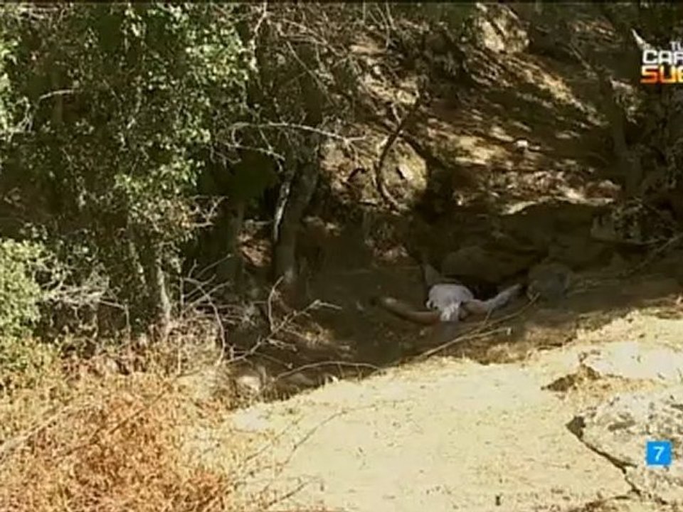 TRISTAN MARTIN MIRA ¡ESTA AHI! VAMOS ESDPV 15-10-2012