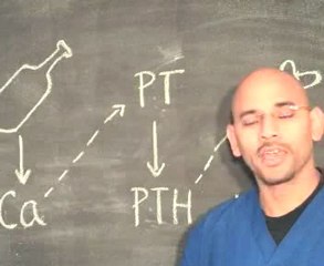 El Alcohol y La Columna Vertebral - Osteoporosis