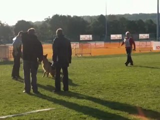 Test de caractère Fiona du Fossé des Pandours - NE Bourg en Bresse 2012