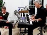 Nits - Bird On A Wire (Froggy's Session)