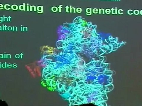 ข่าวในพระราชสำนัก151012