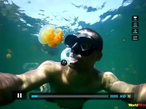 La pub Internet Explorer 9 Parodié