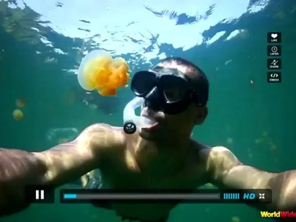 La pub Internet Explorer 9 Parodié