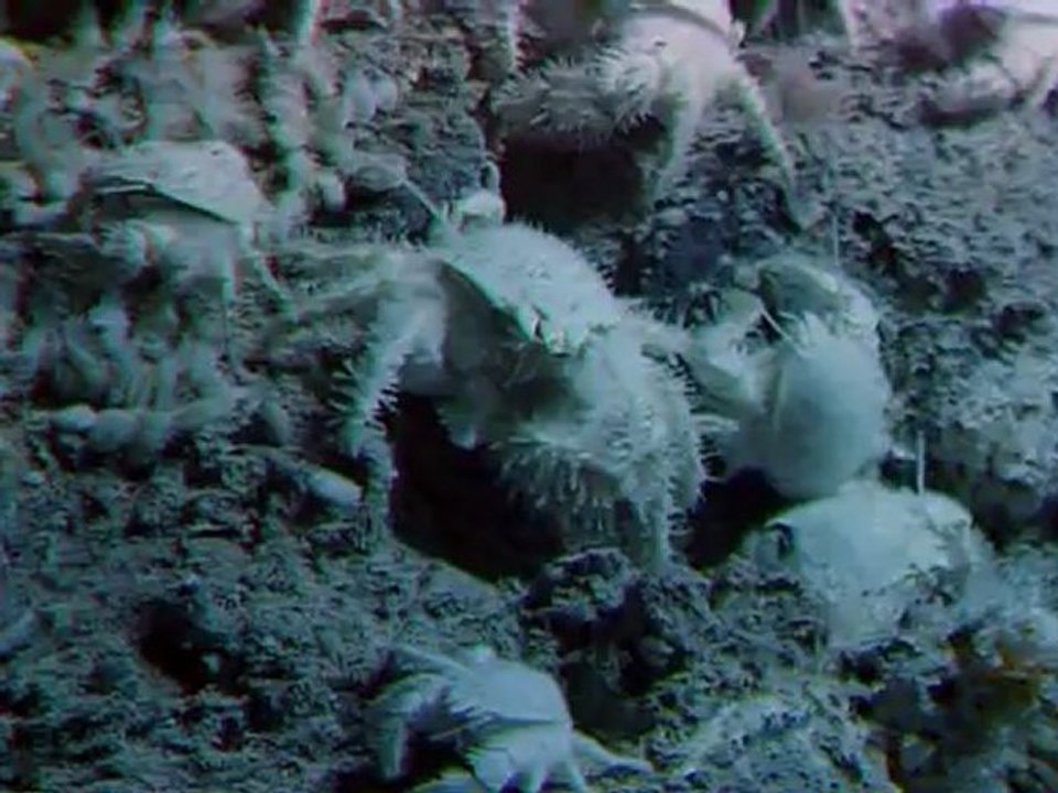 Planeta Tierra  - 11 - Oceanos