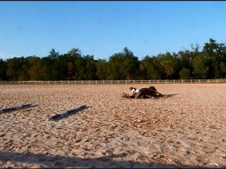 2012.09.22 Inari coucher