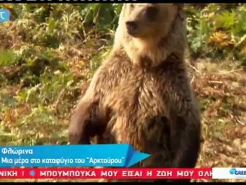 Πινάκιο (pinakio.blogspot.gr) Στο καταφύγιο του Αρκτούρου