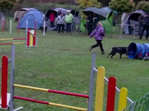 Taiga, epagneul breton, agility, concours audun le roman oct 2012, GPF avec Emma