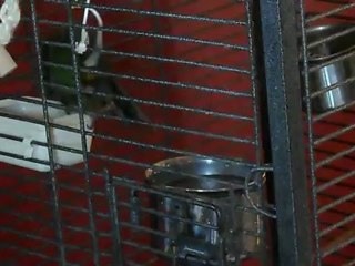 jade prend son bain 4 octobre 2012