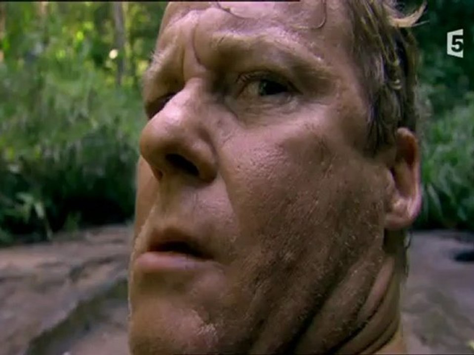 Miracle dans la Jungle