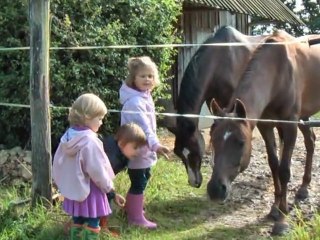 DES ENFANTS DES CHEVAUX ET DES POMMES 20/07/2012