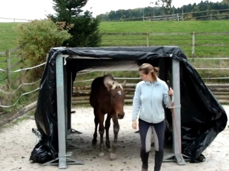 Cobalt: 7 mois et encore des progrès