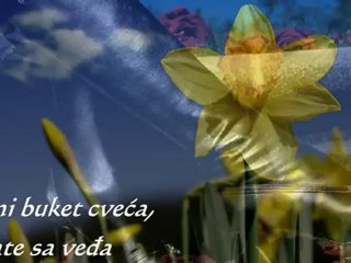 ŽELJKO JOKSIMOVIĆ - Dukati