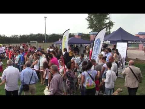 SERVIZIO DOGS CUP 2012