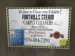 Foothills%20Steam%20Carpet%20Cleaners%20%28970%29%20484-7291