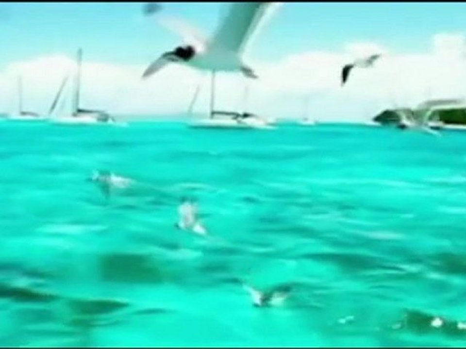 Carte Postale du Monde | St Vincent & The Grenadines 2010