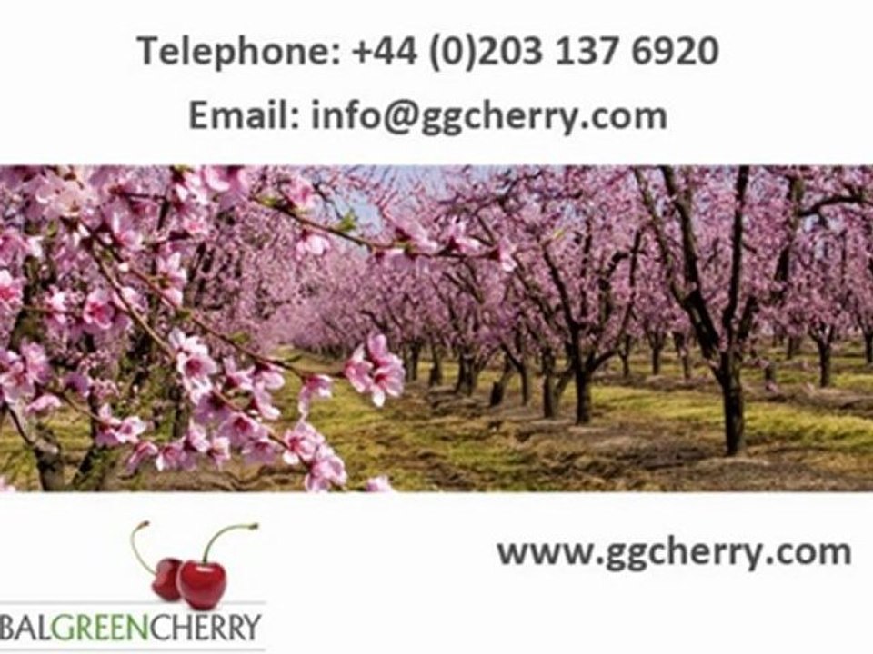 Global Green Cherry - Commodity Market Opportunities