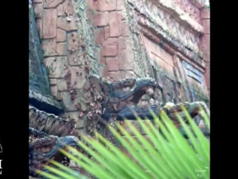 Сквозь Апокалипсис 2: Космос