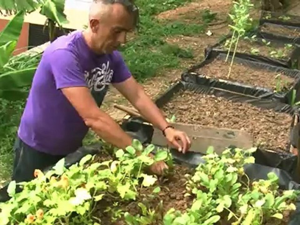 Mit kleingärten gegen die landwirtschaftskrise in venezuela