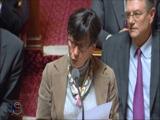 Violences scolaires : « Quelles sont les mesures envisagées par le gouvernement pour remédier à cette violence »