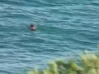 Форос и Алекс Грок