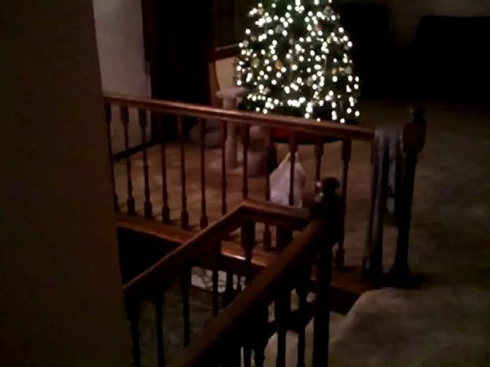 Early Christmas for Oliver!