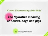 [Shinchonji-LeeManHee] The figurative meaning of beasts, dogs and pigs