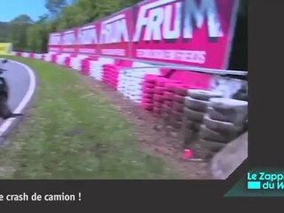 Quand 2 chiens sont sauvés de la noyade... par un labrador !