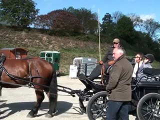 Festival de cheval de trait, Baraqueville