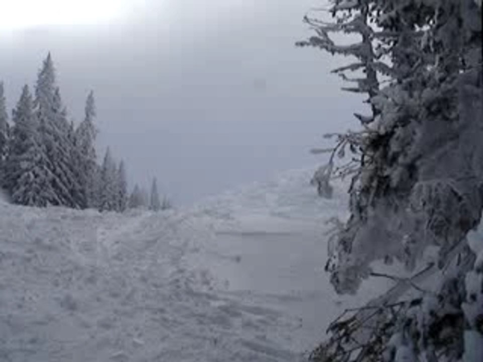 Le Terje