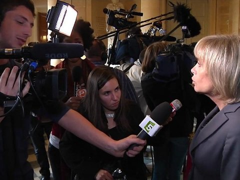 Couples homos : les députés partagés sur la procréation assistée