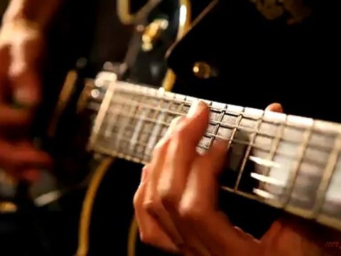 mr. birdman - animal