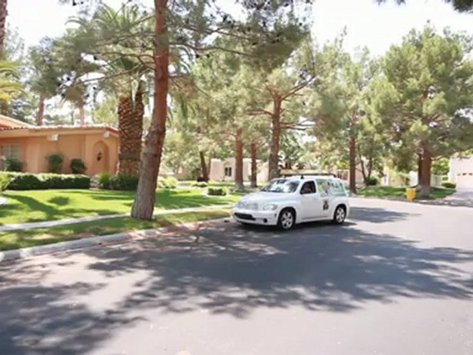 Bug Control in Las Vegas - Insect Pest Control