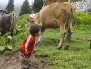 hayati hancı-kolunalihala-osman turan