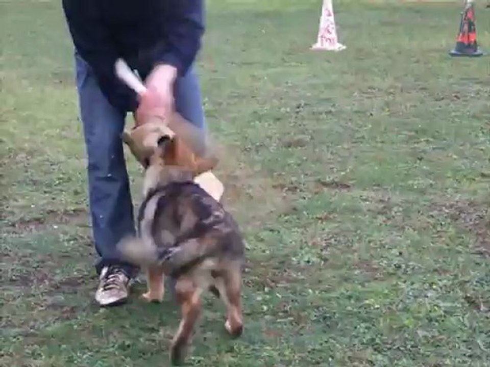 11 10 2012HARLEY 3 en libre  082