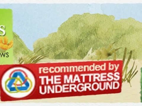 Organic Mattresses On Sale in Scottsdale Arizona