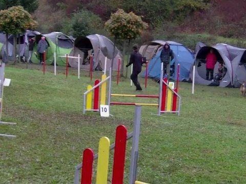 E'Lia, Epagneul beton, agility, concours audun le roman, GPF avec Morgane