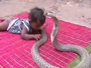 snake and baby playing toys are us